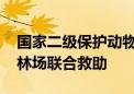 国家二级保护动物白鹭“落难” 市民、潞城林场联合救助