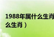 1988年属什么生肖的今年多大（1988年属什么生肖）