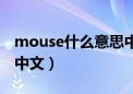 mouse什么意思中文意思（mouse什么意思中文）