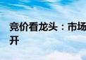 竞价看龙头：市场焦点股东北制药（4板）平开