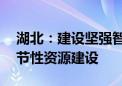 湖北：建设坚强智能电网 加快新型储能等调节性资源建设