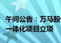 午间公告：万马股份拟与镇海炼化等共同投资一体化项目立项