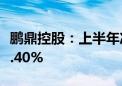 鹏鼎控股：上半年净利润7.84亿元 同比下降3.40%