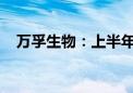 万孚生物：上半年净利润同比增长6.37%