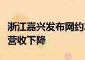 浙江嘉兴发布网约车市场风险提示：订单量及营收下降