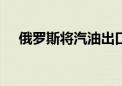 俄罗斯将汽油出口禁令延长至2024年底