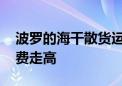 波罗的海干散货运价指数上涨 因海岬型船运费走高