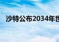 沙特公布2034年世界杯体育场馆建设计划