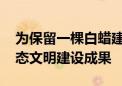 为保留一棵白蜡建一个下沉庭院 海淀亮出生态文明建设成果