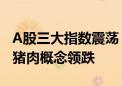 A股三大指数震荡 AI眼镜概念持续走强 鸡肉、猪肉概念领跌