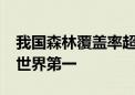 我国森林覆盖率超24%！还有这两项数据 居世界第一