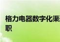 格力电器数字化渠道改革项目负责人王自如离职