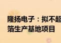 隆扬电子：拟不超过1.2亿元投建泰国复合铜箔生产基地项目