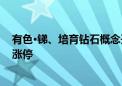 有色·锑、培育钻石概念开盘大涨 华钰矿业、黄河旋风竞价涨停