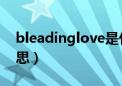 bleadinglove是什么意思（glove是什么意思）