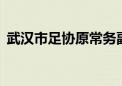 武汉市足协原常务副会长付翔一审获刑11年