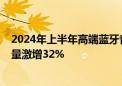 2024年上半年高端蓝牙音箱市场崛起：2000元以上产品销量激增32%