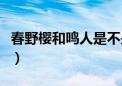 春野樱和鸣人是不是一年生的（春野樱和鸣人）