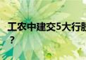 工农中建交5大行股价创出新高 谁在买银行股？