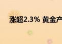 涨超2.3% 黄金产业ETF盘中上涨2.30%