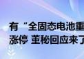 有“全固态电池重大突破”？鹏辉能源20cm涨停 董秘回应来了