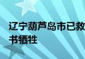 辽宁葫芦岛市已救出被困群众185人 1名村支书牺牲