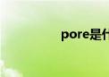 pore是什么车（pore）