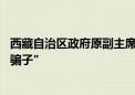 西藏自治区政府原副主席王勇被决定逮捕 曾被批“结交政治骗子”