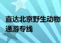 直达北京野生动物园！北京公交明日新开一条通游专线