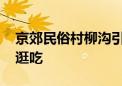 京郊民俗村柳沟引入乡村奥莱 可一站式玩买逛吃