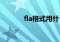 fla格式用什么打开（fla格式）