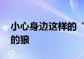 小心身边这样的“好心人” 可能是披着羊皮的狼