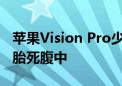 苹果Vision Pro少了一个对手！曝Meta头显胎死腹中