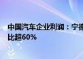 中国汽车企业利润：宁德时代+比亚迪超100亿美元 合计占比超60%