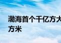 渤海首个千亿方大气田累产天然气超10亿立方米