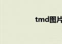 tmd图片表情（TMD）