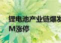 锂电池产业链爆发 天力锂能、鹏辉能源20CM涨停