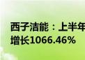 西子洁能：上半年归母净利润3.42亿元 同比增长1066.46%