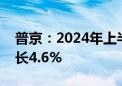 普京：2024年上半年俄罗斯国内生产总值增长4.6%