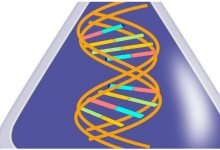 利用 RNA 剪接事件识别结肠癌亚型是一种更可靠且更具成本效益的方法