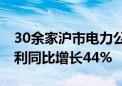 30余家沪市电力公司披露半年报 合计归母净利同比增长44%