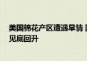 美国棉花产区遭遇旱情 国内纺织企业开机率回升 棉花期货见底回升