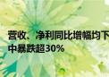 营收、净利同比增幅均下滑 狂飙的拼多多速度慢了！股价盘中暴跌超30%