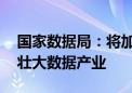 国家数据局：将加强数据产业规划布局 培育壮大数据产业