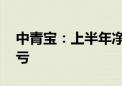 中青宝：上半年净亏损2500.85万元 同比转亏