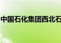 中国石化集团西北石油局原党委书记张煜被查