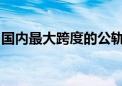 国内最大跨度的公轨两用多塔刚性悬索桥合龙