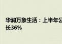 华润万象生活：上半年公司股东应占利润19.08亿元 同比增长36%