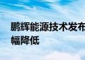 鹏辉能源技术发布会召开 全固态成本有望大幅降低