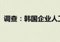 调查：韩国企业人工智能使用率仅为30.6%